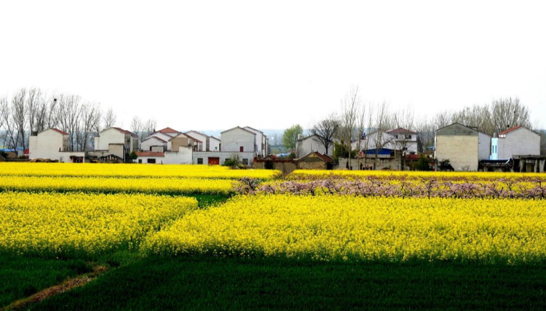 wechat_2025-09-12_141619_235.png